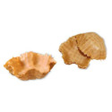 Conchiglia croccante biscotto FJ140 pezzi 60 Gustobasket Fapec.jpg