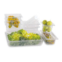 Vaschetta gastronomica plp bis.jpg
