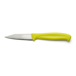 Coltello professionale Spelucchino acciao inossidabile 3CR13 Comas