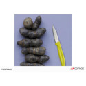 Coltello professionale Spelucchino acciao inossidabile 3CR13 Comas bis.jpg