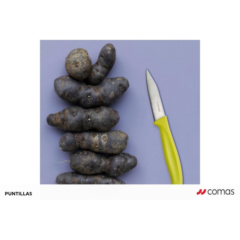 Coltello professionale Spelucchino acciao inossidabile 3CR13 Comas bis.jpg